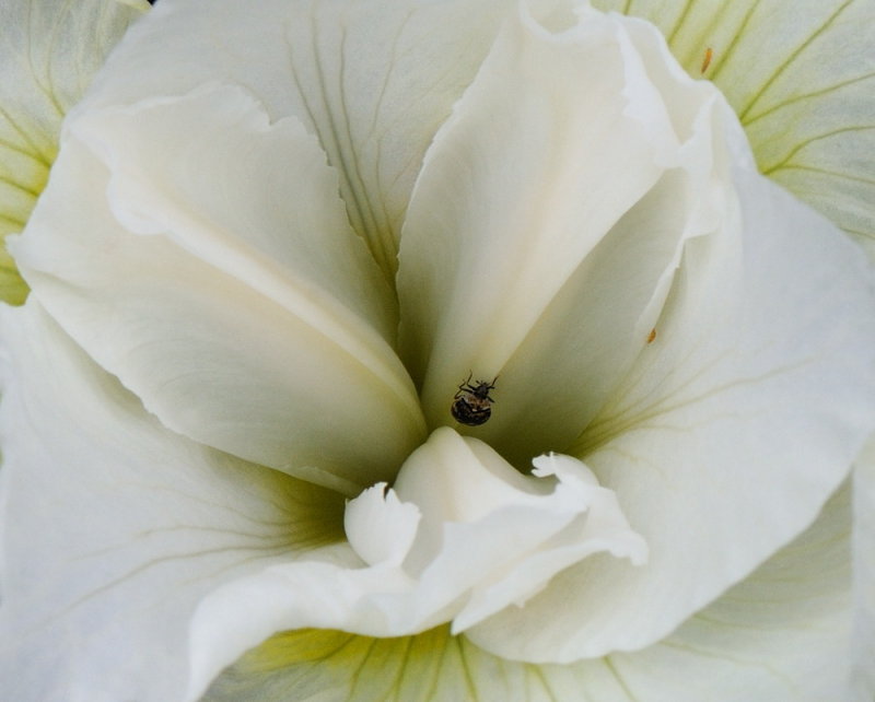 D32_6091.jpg