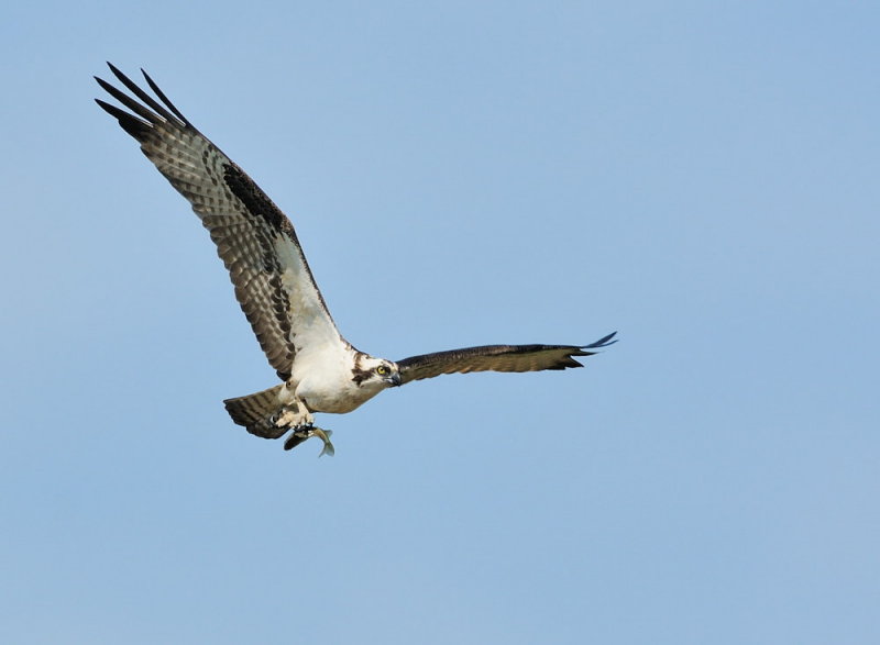 D32_6423.jpg