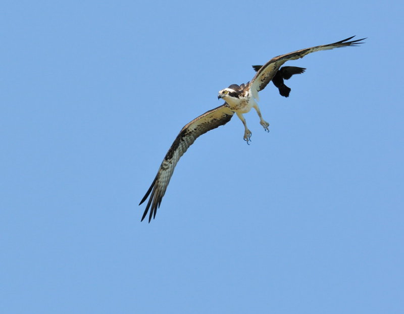 D32_6500.jpg
