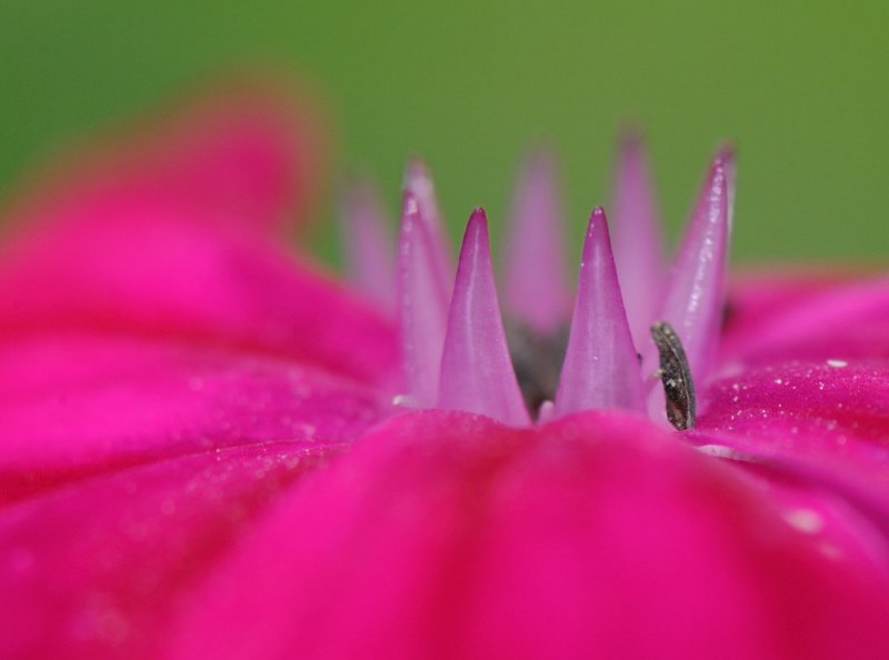 D32_6770.jpg