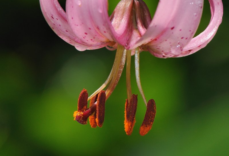 D32_6783.jpg