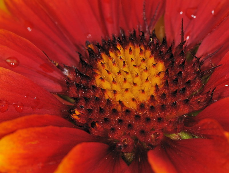 D32_6823.jpg