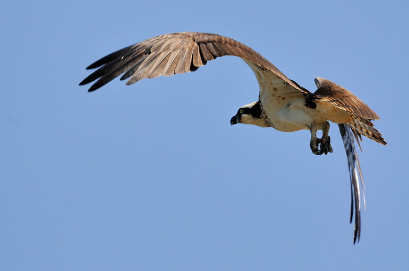 D32_7960.jpg