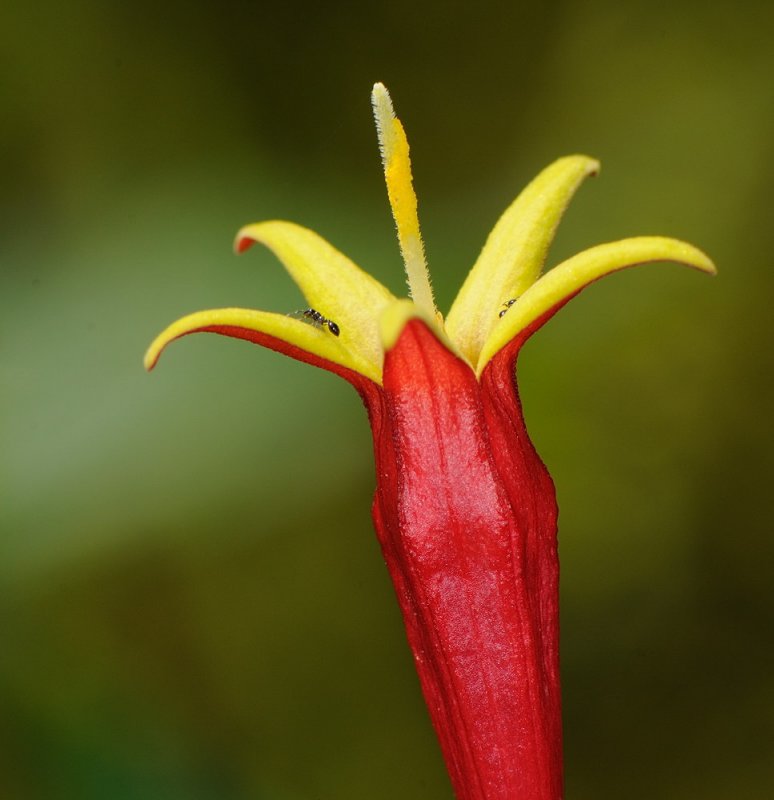 D32_7802.jpg