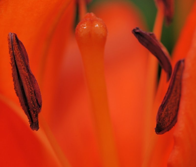 D32_7828.jpg