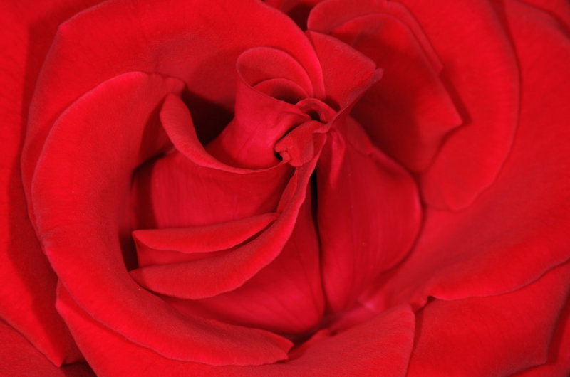 D32_8069.jpg