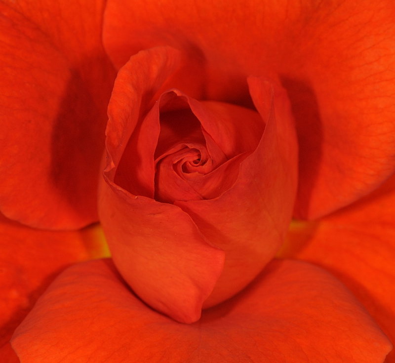 D32_8109.jpg