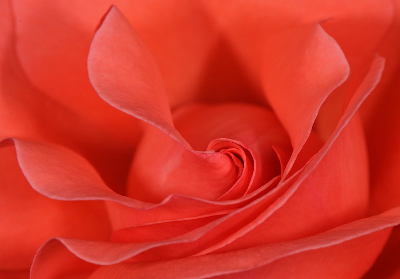 D32_8113.jpg