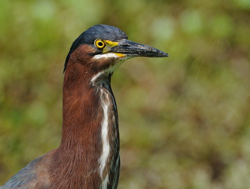 D32_8734.jpg
