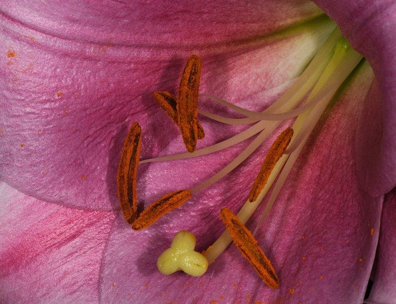 D32_9030.jpg