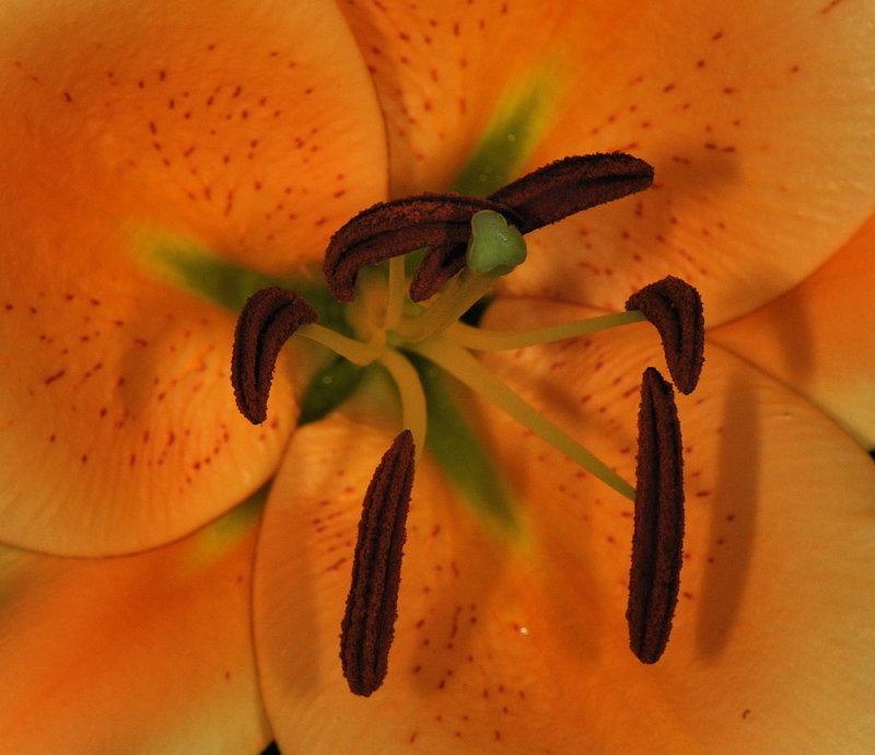 D32_9063.jpg