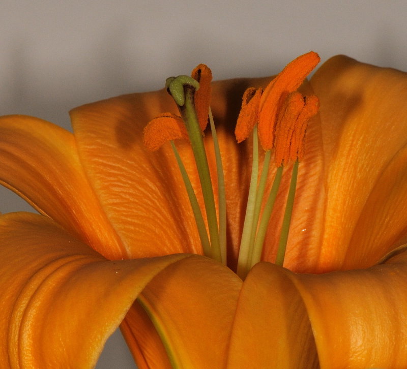 D32_9074.jpg
