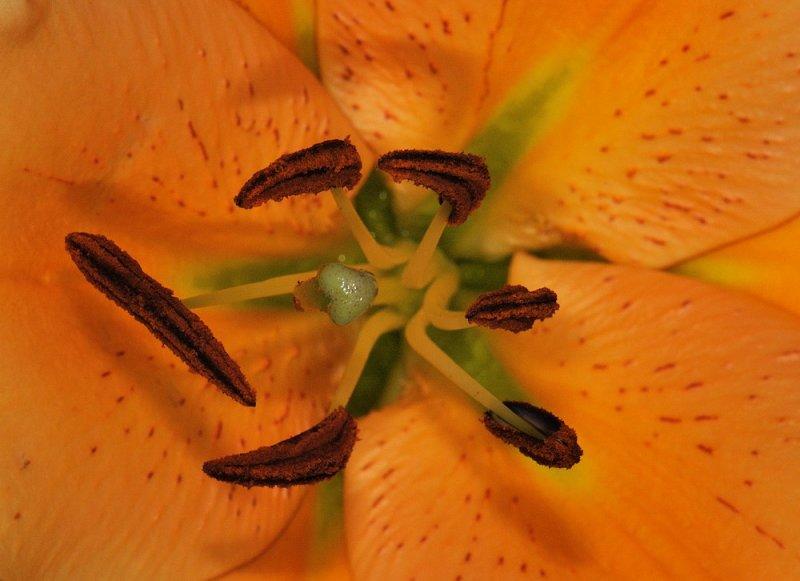D32_9081.jpg