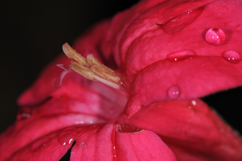 D33_0810.jpg