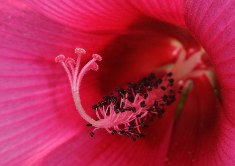 D33_0842.jpg