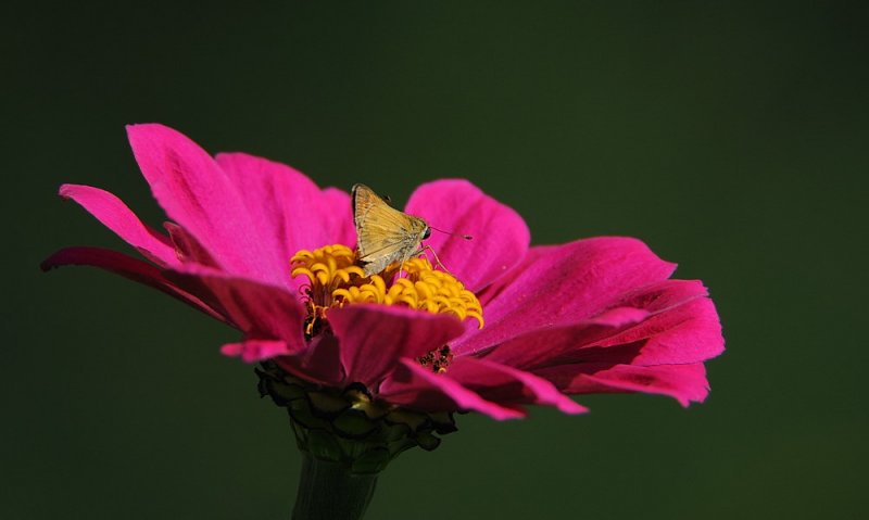 D33_3077.jpg