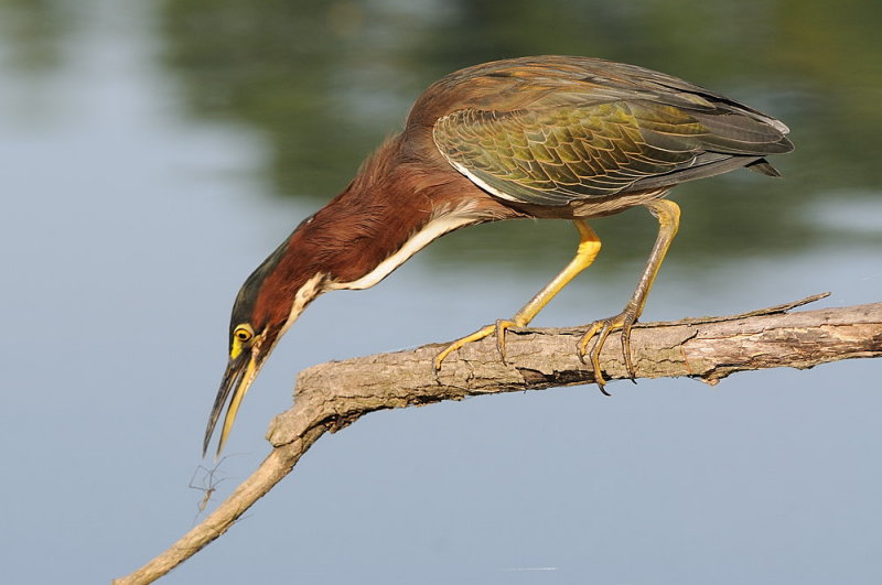 D33_3957.jpg