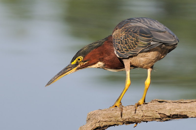D33_3974.jpg