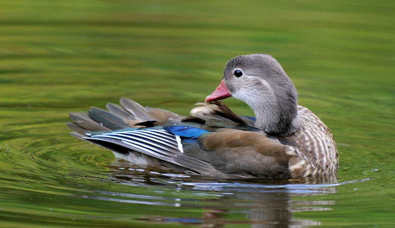 D33_3761.jpg