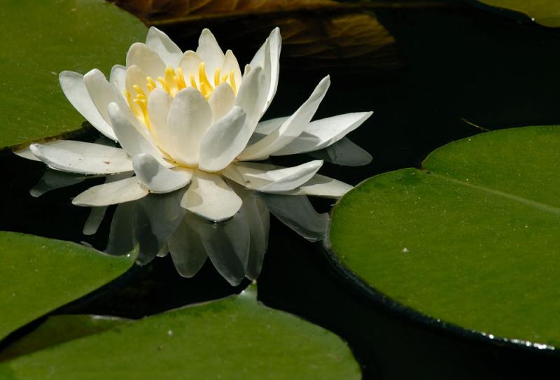 D20_5080 copy.jpg