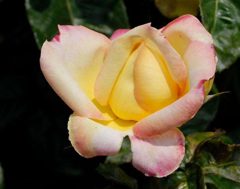 D20_6049 copy.jpg