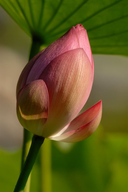D20_8945 copy.jpg