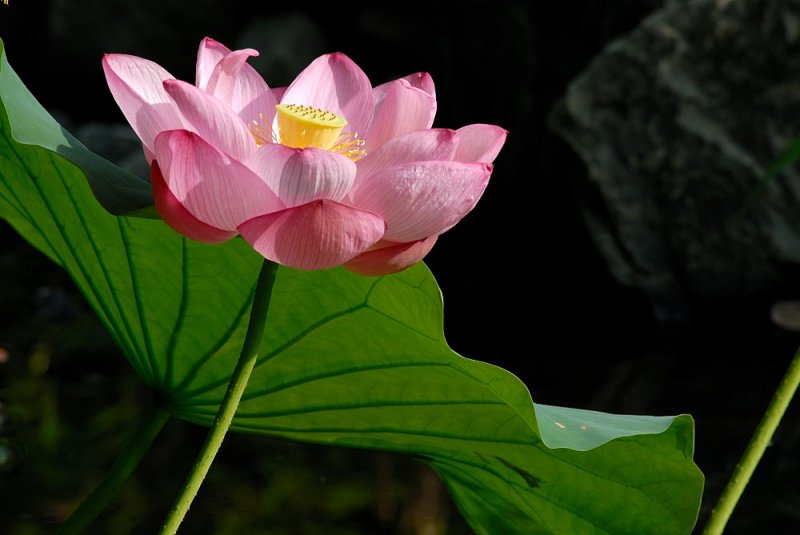 D20_9496 copy.jpg