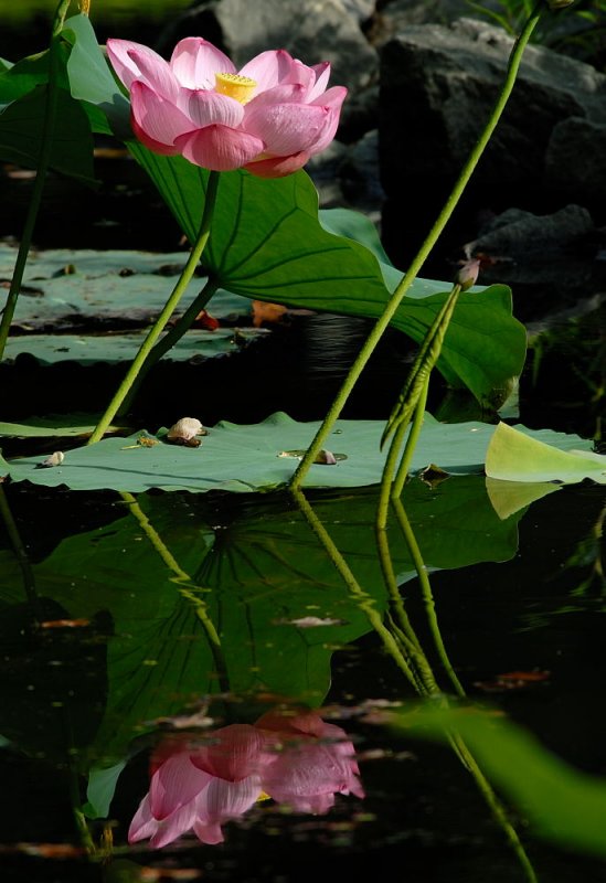 D20_9505 copy.jpg