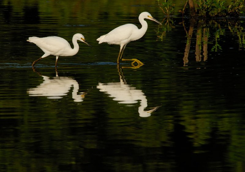 D20_0095 copy.jpg