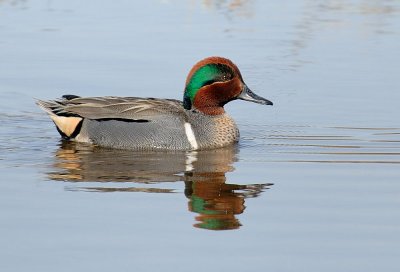 E21_4412.jpg