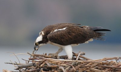 E21_4710.jpg