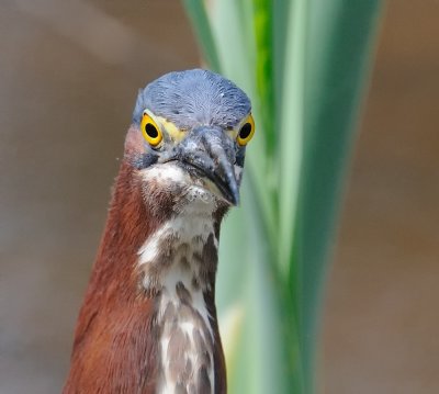 D30_2081.jpg