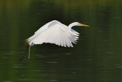 D30_4299.jpg
