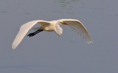 D30_4341.jpg