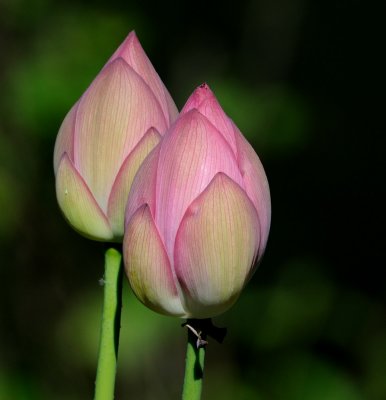 D30_6412.jpg