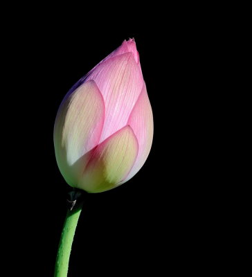 D30_6429.jpg