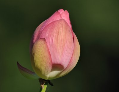 D30_6434.jpg
