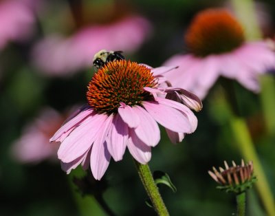 D30_6460.jpg