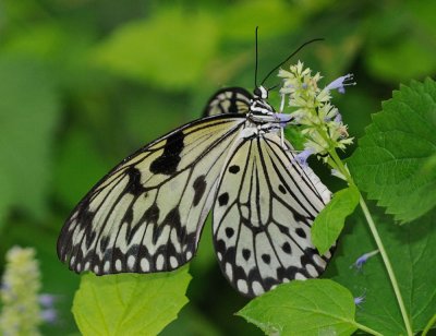 D30_7763.jpg