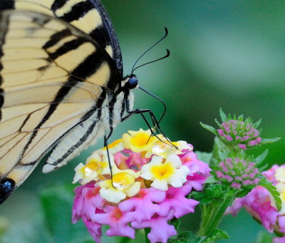 D30_9546.jpg