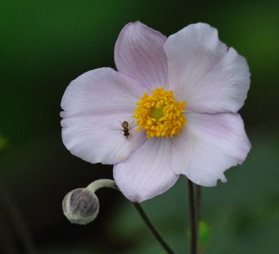 D30_9687.jpg