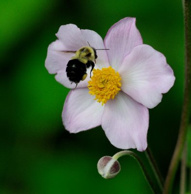 D31_9924.jpg