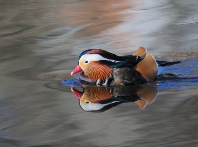 D31_3470.jpg