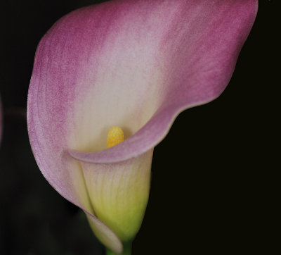 D31_6470.jpg