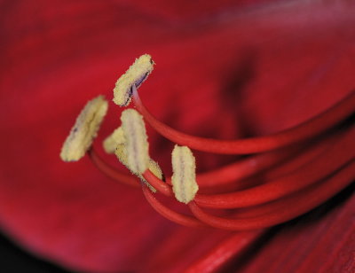 D31_6472.jpg