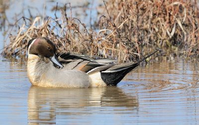 D31_7881.jpg