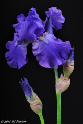 D32_4952.jpg