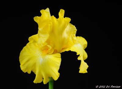 D32_4987.jpg