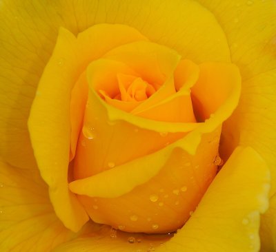 D32_5022.jpg