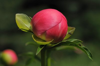 D32_4491.jpg